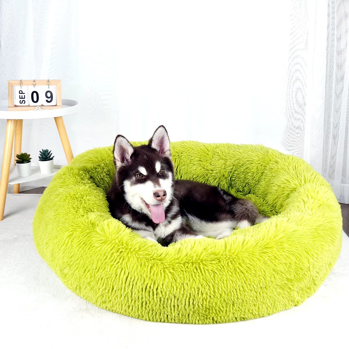 Large Washable Plush Dog Bed - Fluffy Sofa Style for Medium and Small Dogs