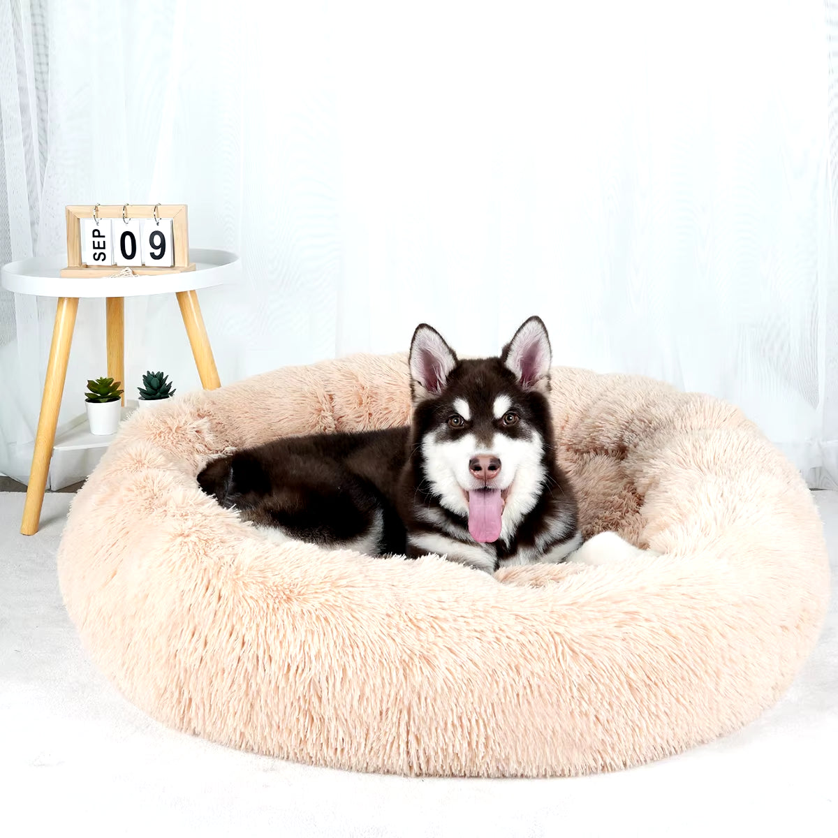 Large Washable Plush Dog Bed - Fluffy Sofa Style for Medium and Small Dogs