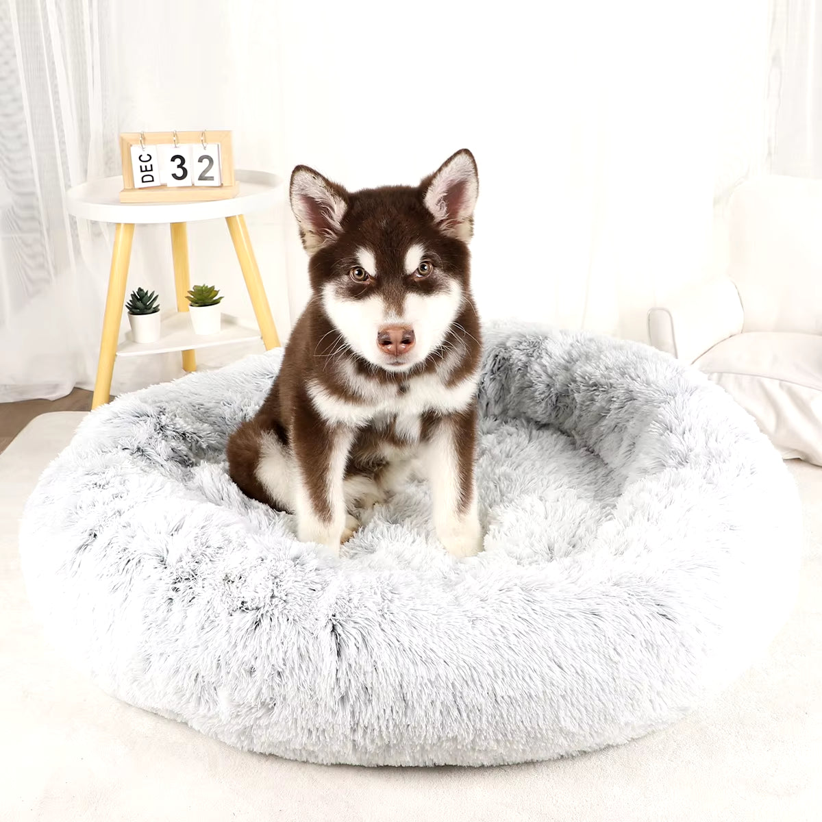Large Washable Plush Dog Bed - Fluffy Sofa Style for Medium and Small Dogs