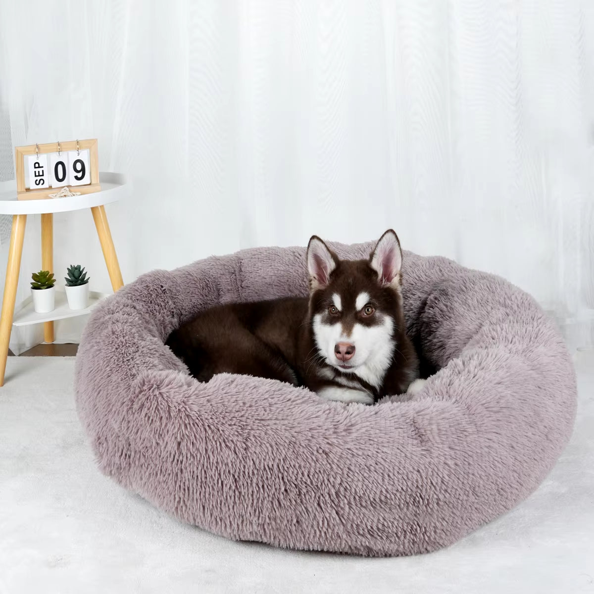 Large Washable Plush Dog Bed - Fluffy Sofa Style for Medium and Small Dogs